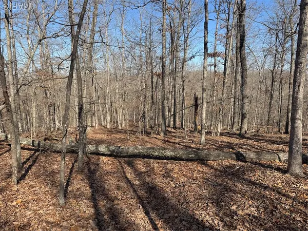 $52,000 | Lot Ee&ee(s) Lot Ee&ee(s) Hidden Valley Lakes, Annapolis, MO 63620