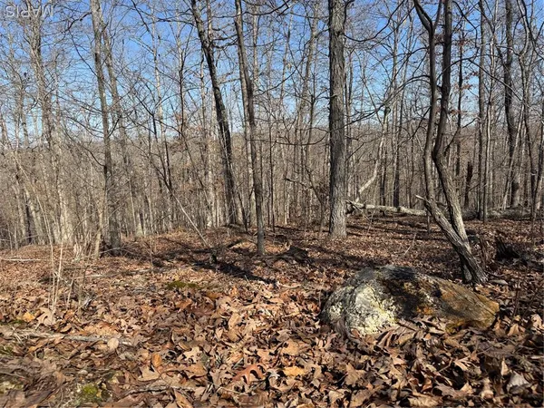 $52,000 | Lot Ee&ee(s) Lot Ee&ee(s) Hidden Valley Lakes, Annapolis, MO 63620