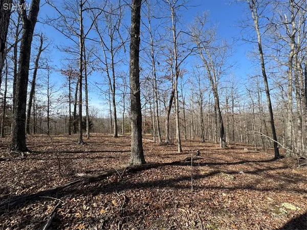 $52,000 | Lot Ee&ee(s) Lot Ee&ee(s) Hidden Valley Lakes, Annapolis, MO 63620