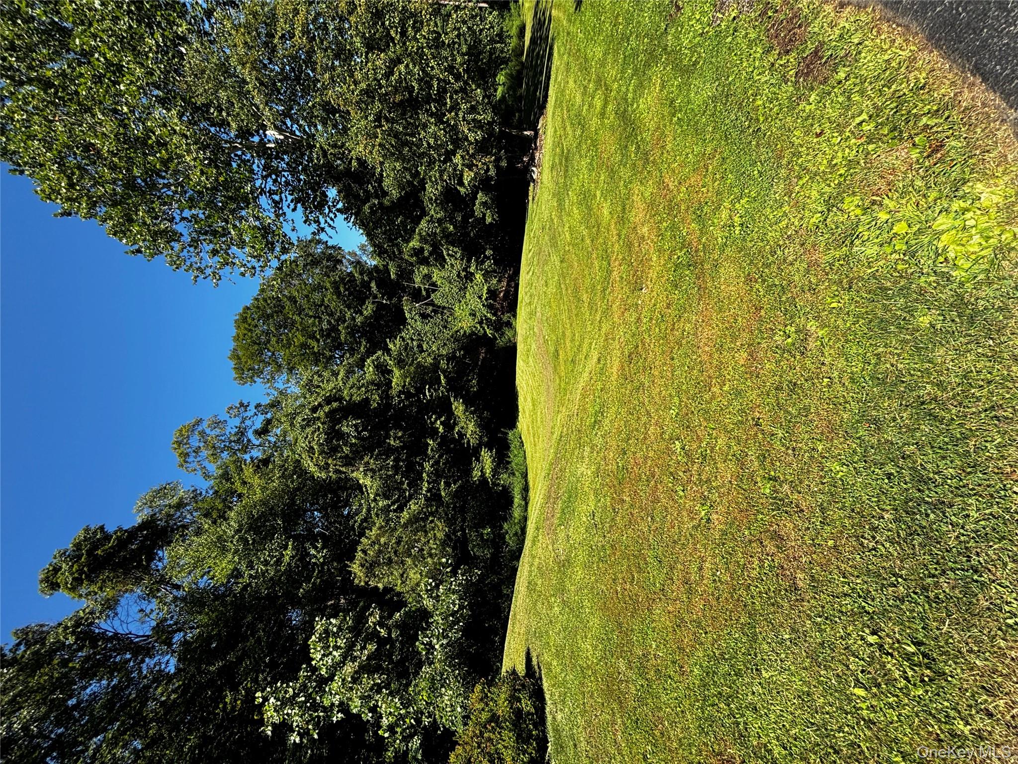62 Triangle Of Clearwater Road Highland, NY 12528 - Photo 4 of 46 View of grassy yard featuring view of scattered trees