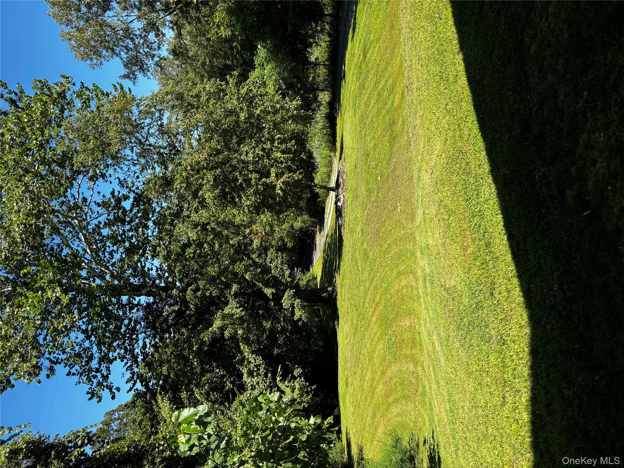 62 Triangle Of Clearwater Road Highland, NY 12528 - Photo 6 of 46 View of green lawn featuring view of scattered trees