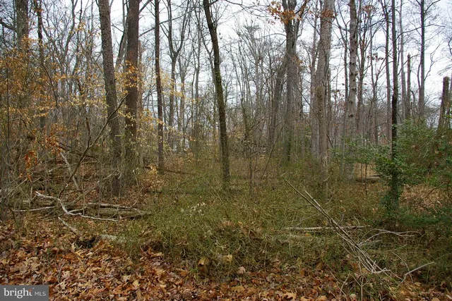 $350,000 | 11336 Crescent Drive, Fairfax, VA 22030