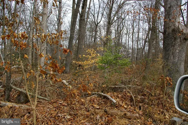 a sign that is sitting in a forest