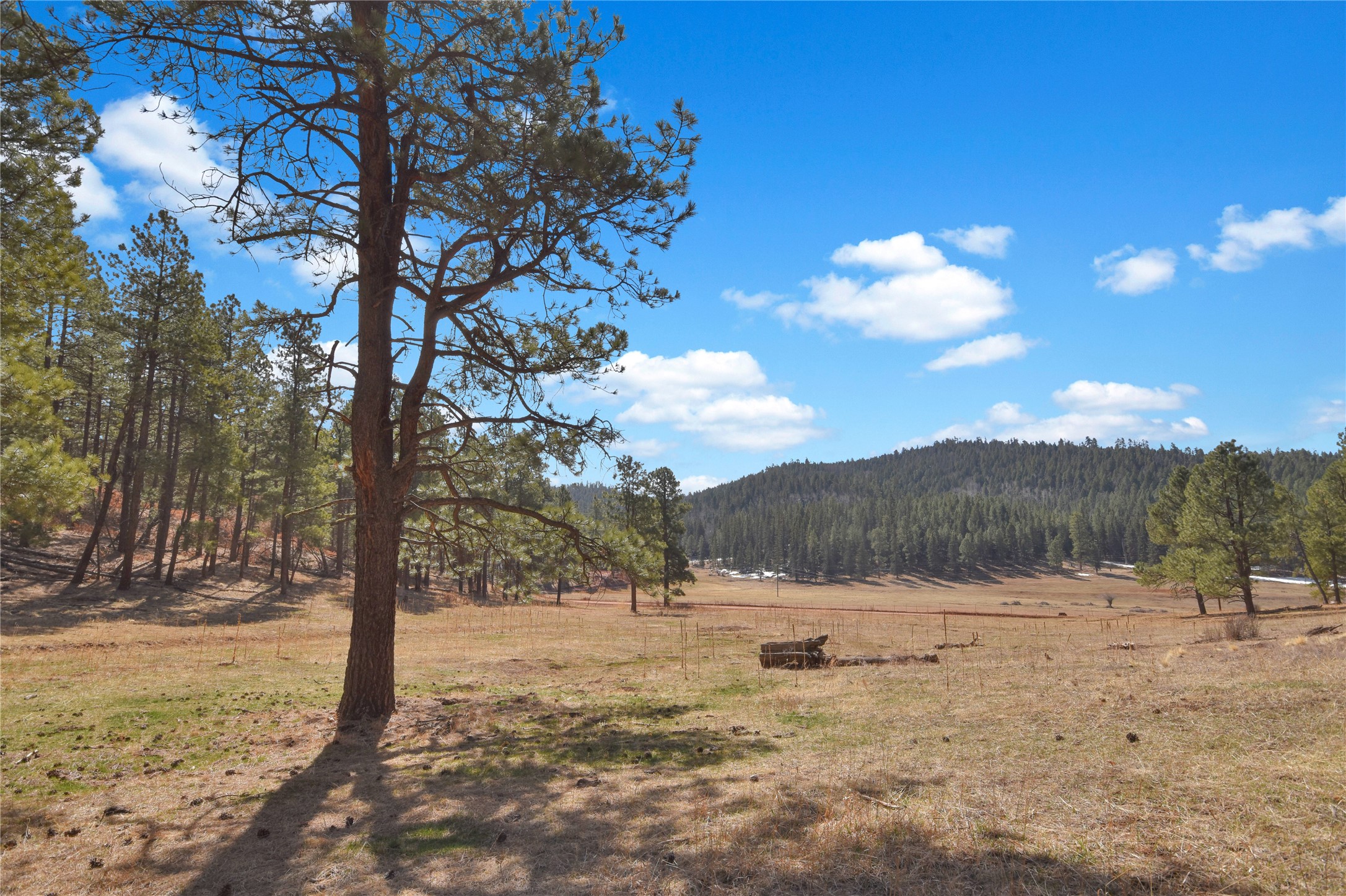 0 Nm State Road Jemez Springs, NM 87025 - Photo 1 of 1 Gallery Image 1