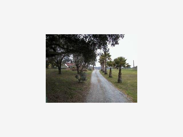 533 A Pini Road Watsonville, CA 95076 - Photo 1 of 1