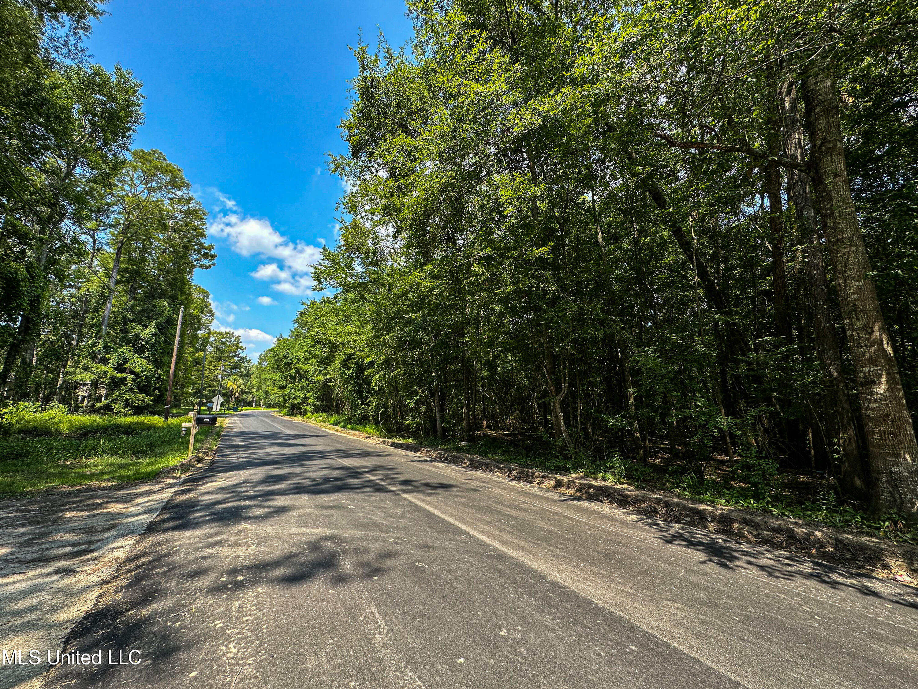 River Road Moss Point, MS 39562 - Photo 5 of 18 IMG_2665