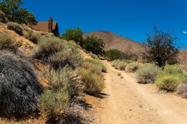 57 Bir Road Bishop, CA 93514 - Photo 27 of 35 a view of a dry yard with trees