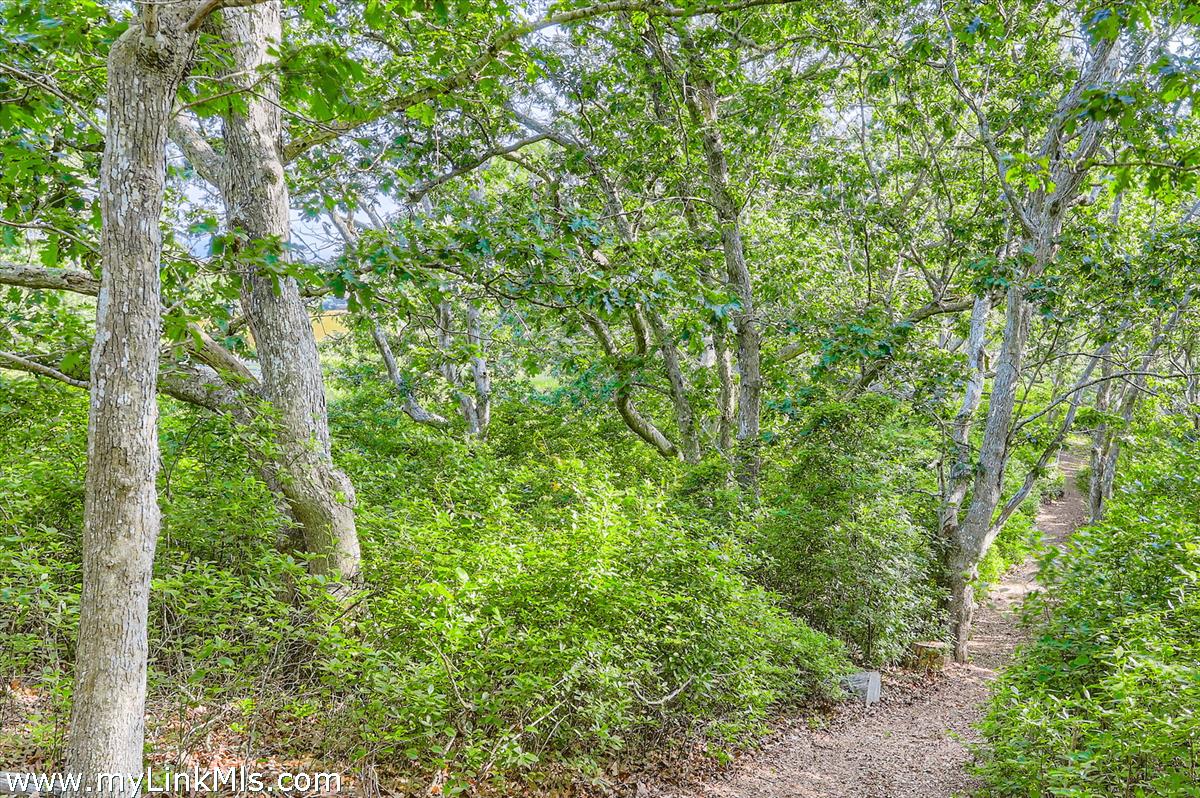 44 Cencelle Chilmark, MA 02535 - Photo 44 of 51