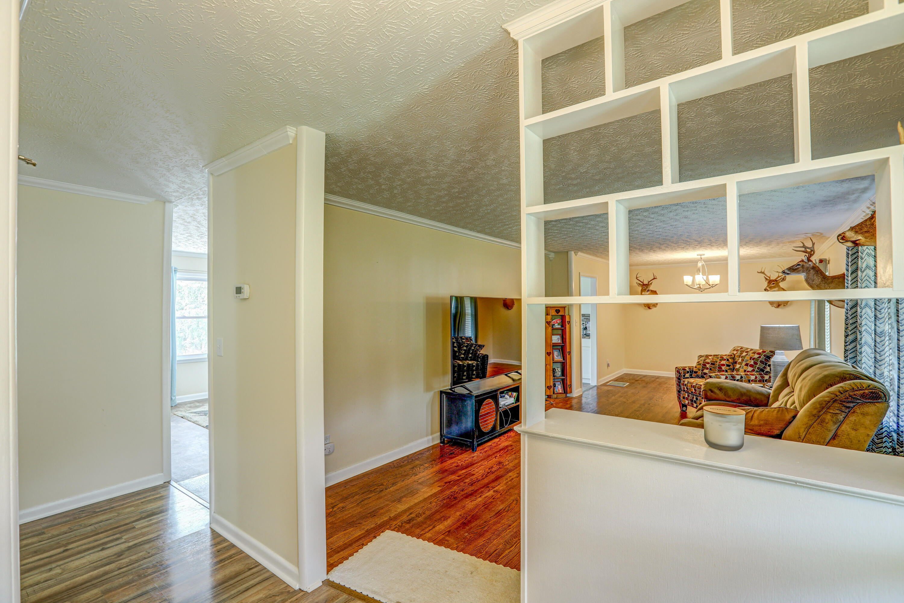 5620 Carters Valley Road Mount Carmel, TN 37645 - Photo 7 of 42 B42A8478_79_80_81_82