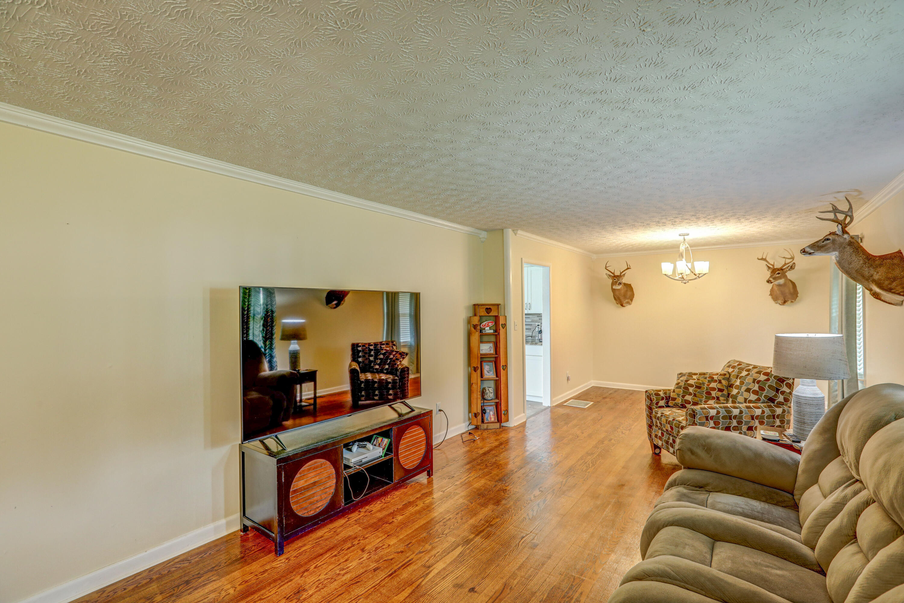 5620 Carters Valley Road Mount Carmel, TN 37645 - Photo 8 of 42 B42A8483_4_5_6_7