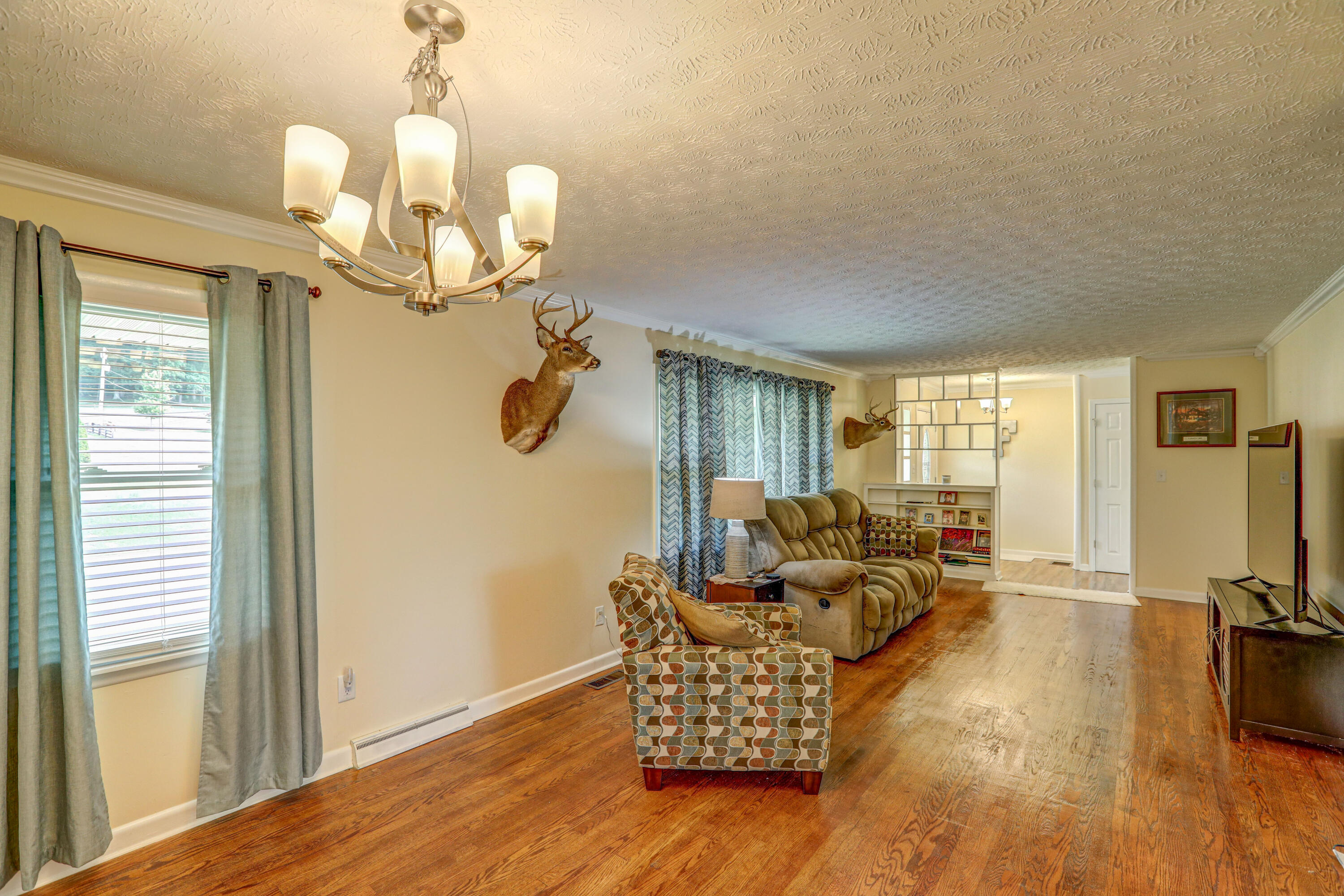 5620 Carters Valley Road Mount Carmel, TN 37645 - Photo 10 of 42 B42A8493_4_5_6_7