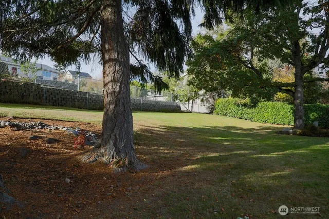 a view of a yard with an trees