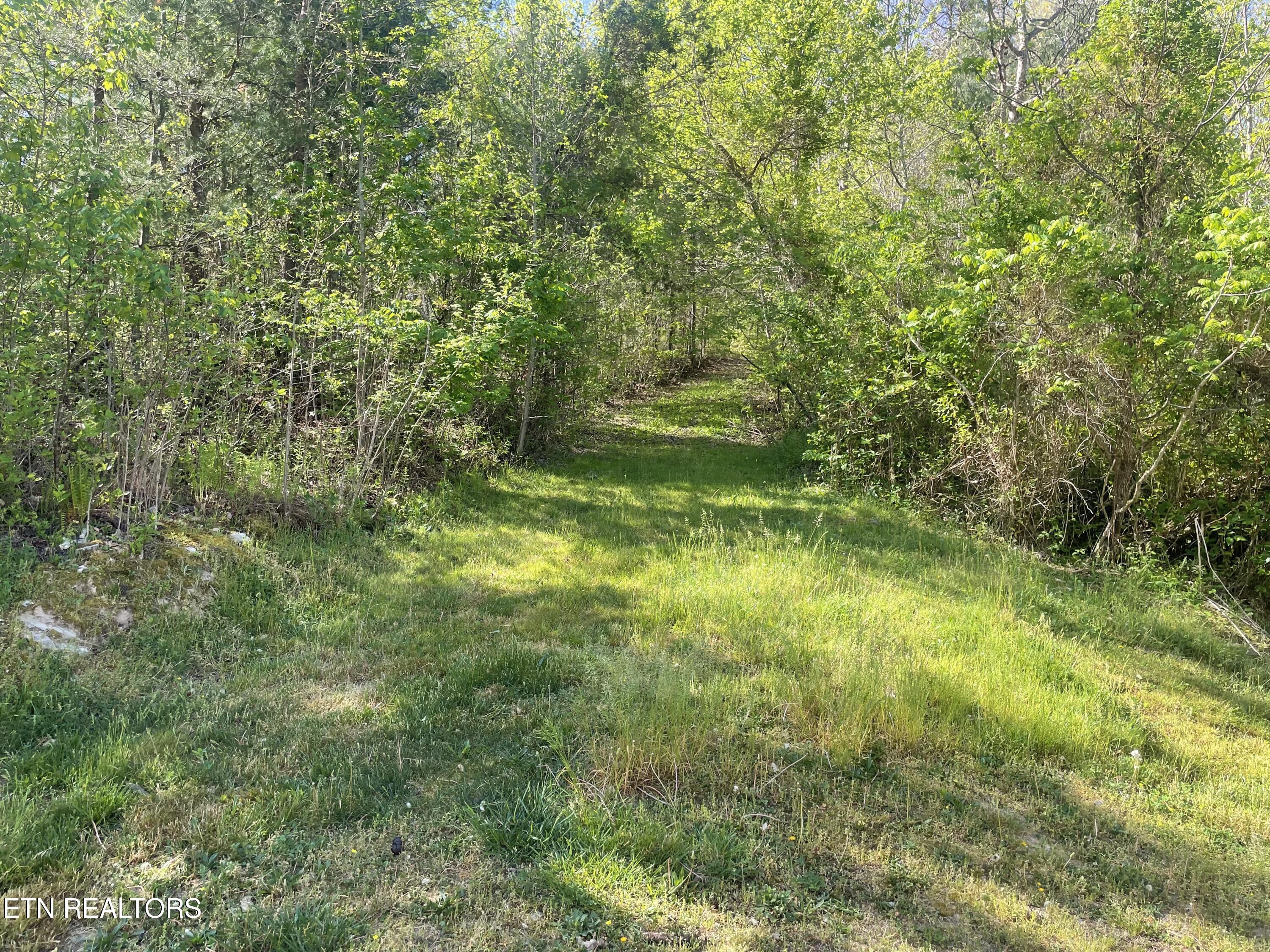 192 Massingale Road Tellico Plains, TN 37385 - Photo 30 of 36 path to woods