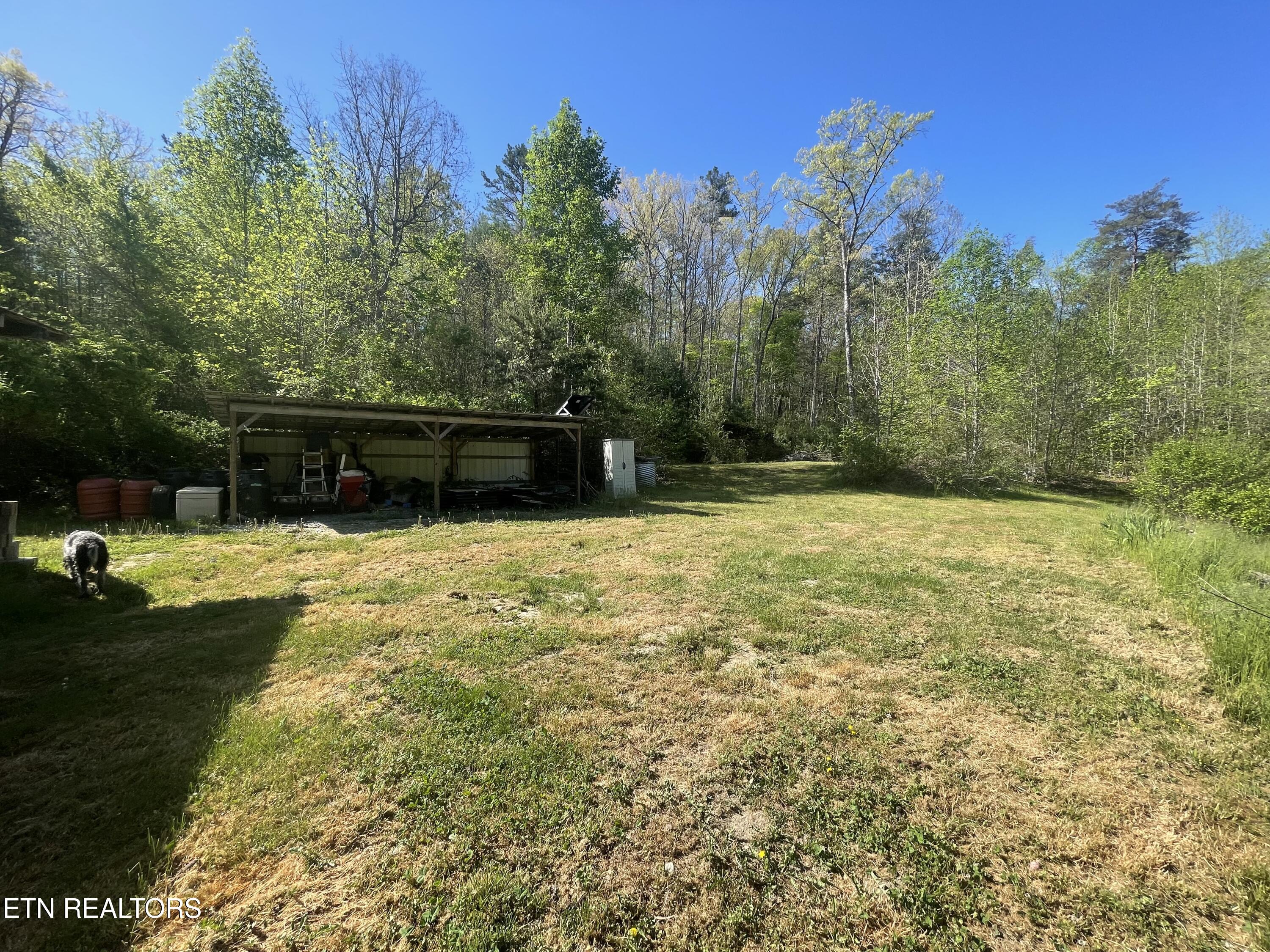 192 Massingale Road Tellico Plains, TN 37385 - Photo 33 of 36 33