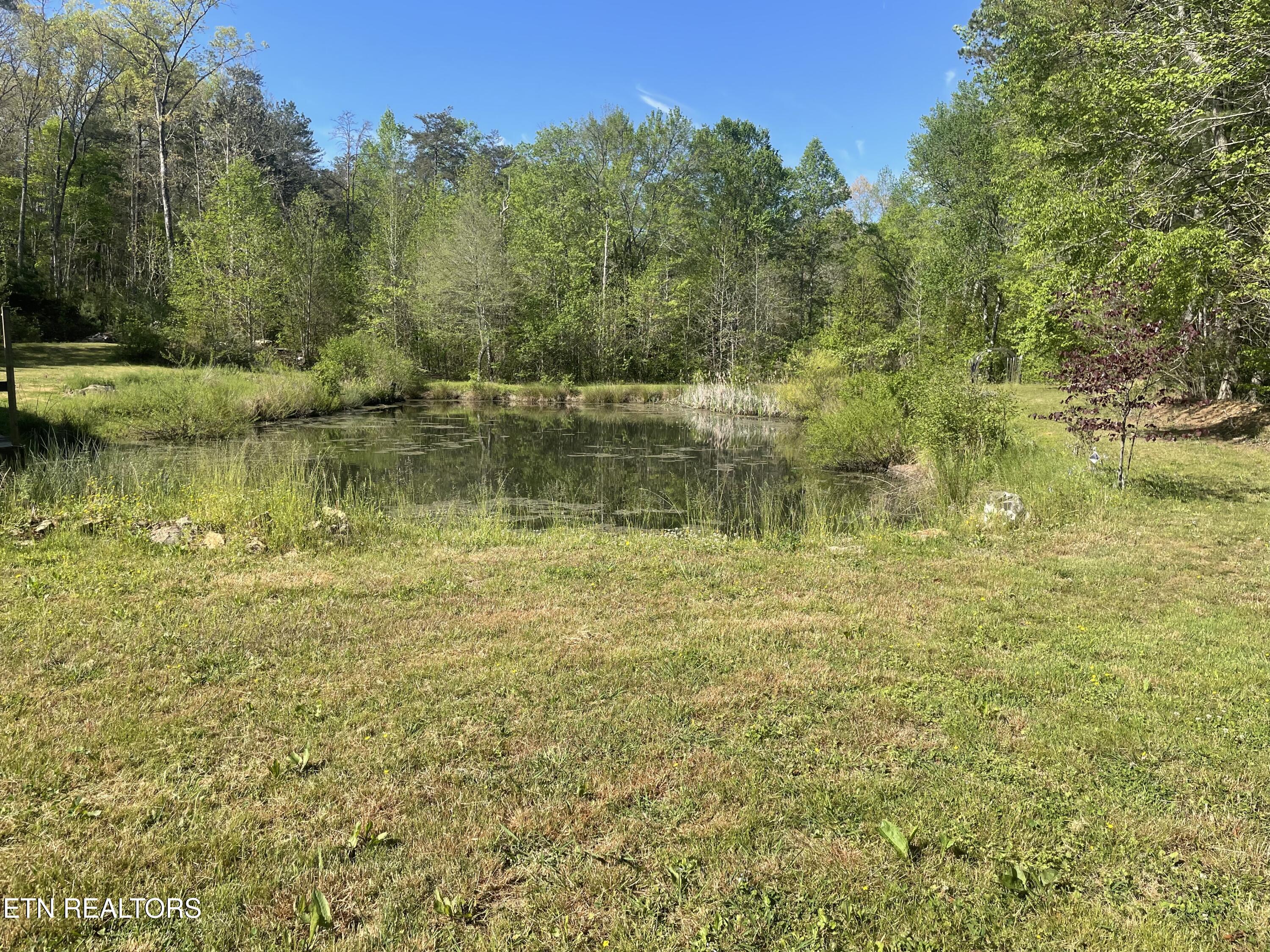 192 Massingale Road Tellico Plains, TN 37385 - Photo 6 of 36 pond