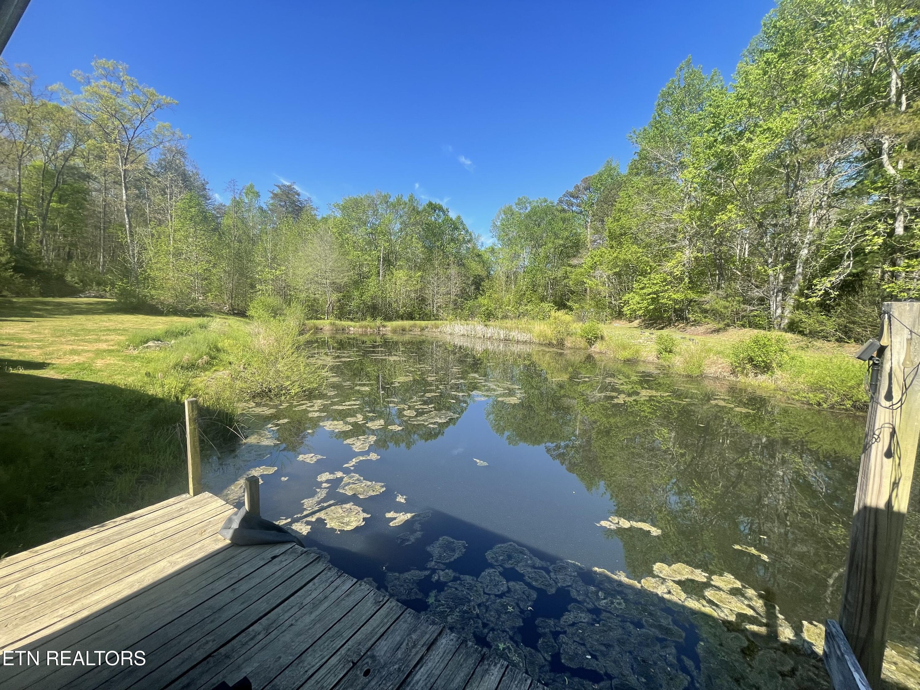 192 Massingale Road Tellico Plains, TN 37385 - Photo 7 of 36 pond