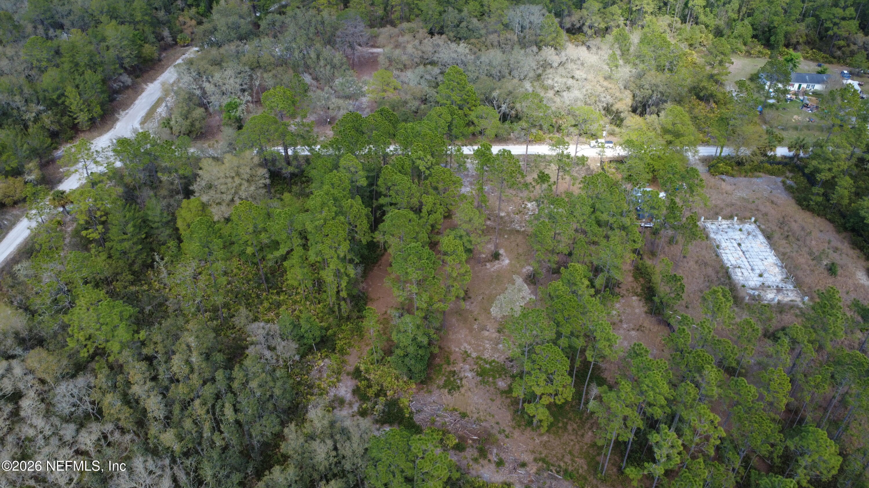 519 5th Street Satsuma, FL 32189 - Photo 3 of 5 a view of a lush green forest with lots of trees