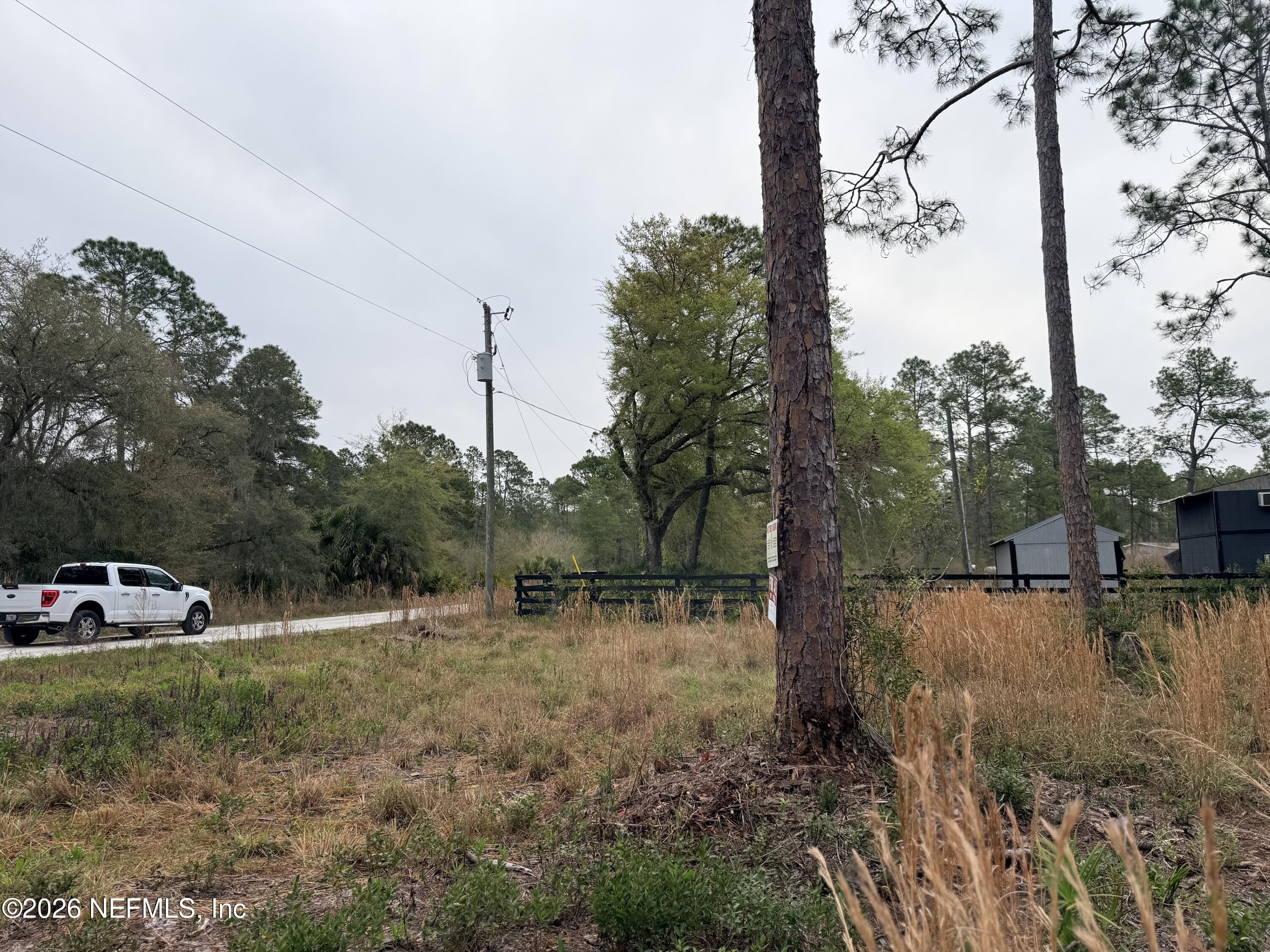 519 5th Street Satsuma, FL 32189 - Photo 4 of 5 a view of a yard with car parked on road