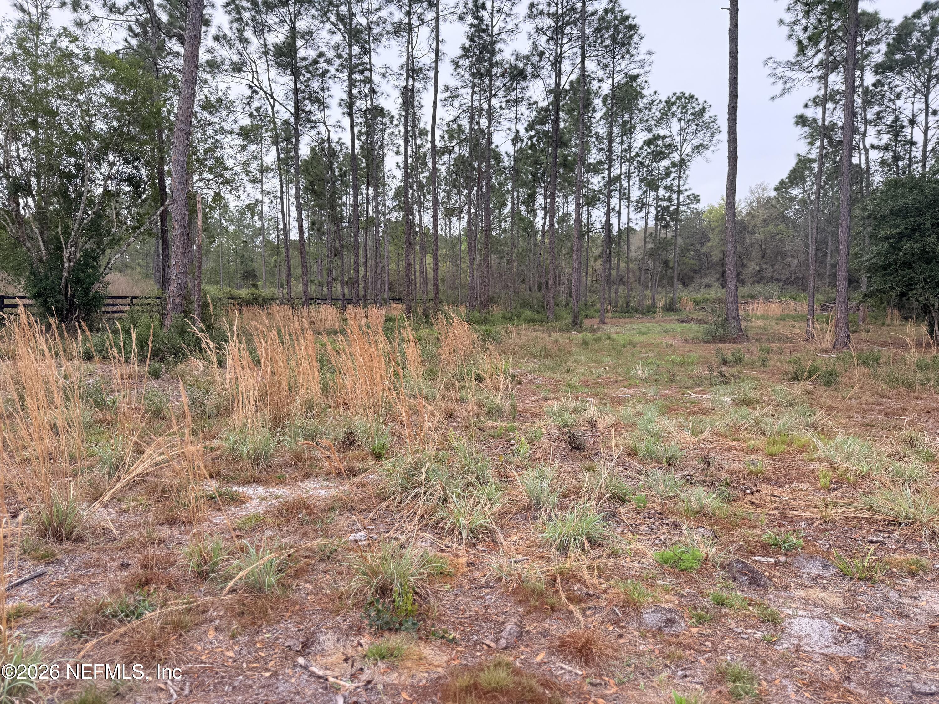519 5th Street Satsuma, FL 32189 - Photo 5 of 5 a backyard of a house with lots of green space