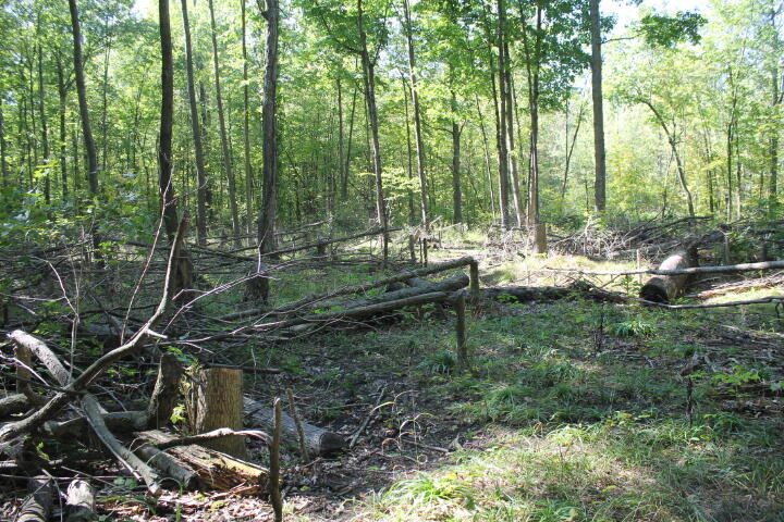 12150 Lone Tree Road Milford, MI 48380 - Photo 16 of 25