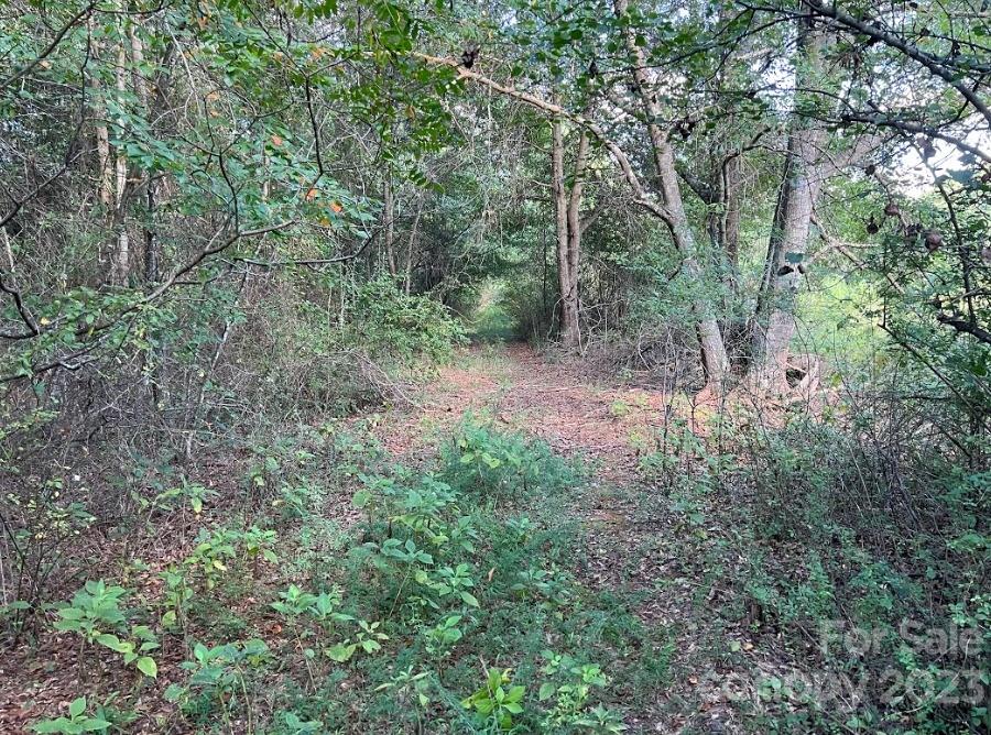 Tbd Racepath Church Road Mooresboro, NC 28114 - Photo 3 of 15 a view of a forest with trees in the background