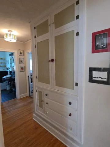 a view of a hallway with wooden floor and cabinet