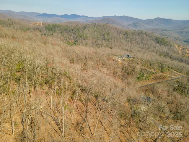 a view of a forest with mountains in the background
