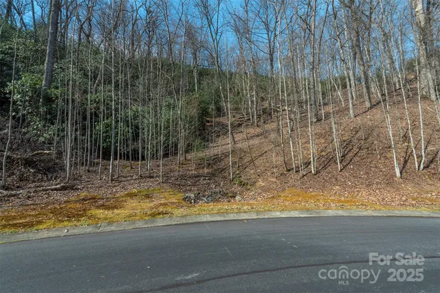 a view of a backyard of a house