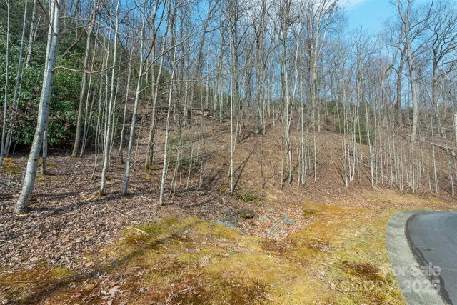 a view of a pathway with a yard