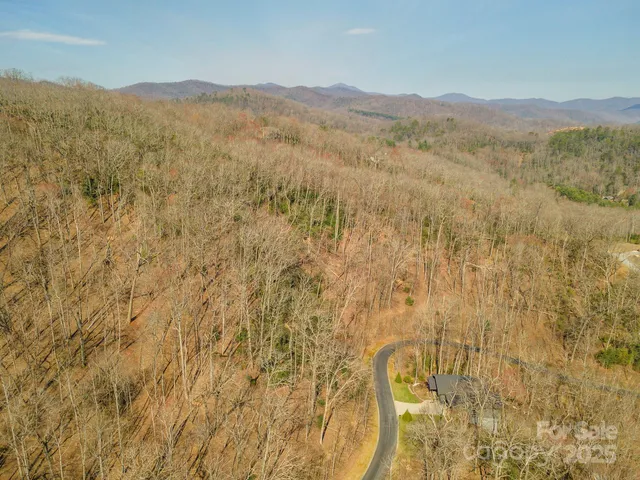a view of mountain with trees in the background