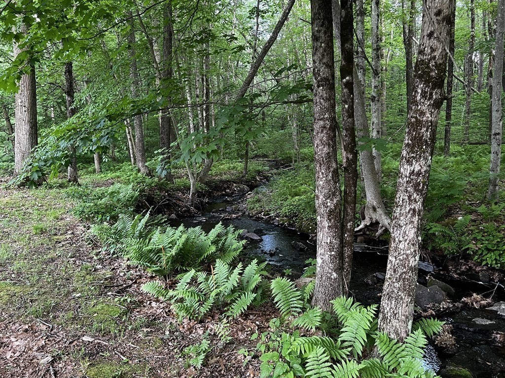 10 Hammerock Road Charlton, MA 01507 - Photo 31 of 31