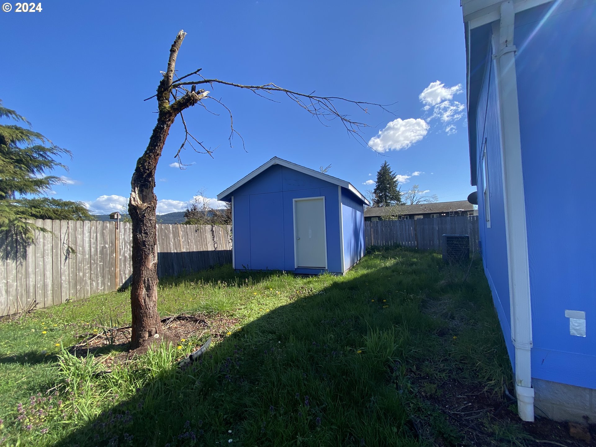 657 54th Street Springfield, OR 97478 - Photo 26 of 28 a view of a yard in front of house