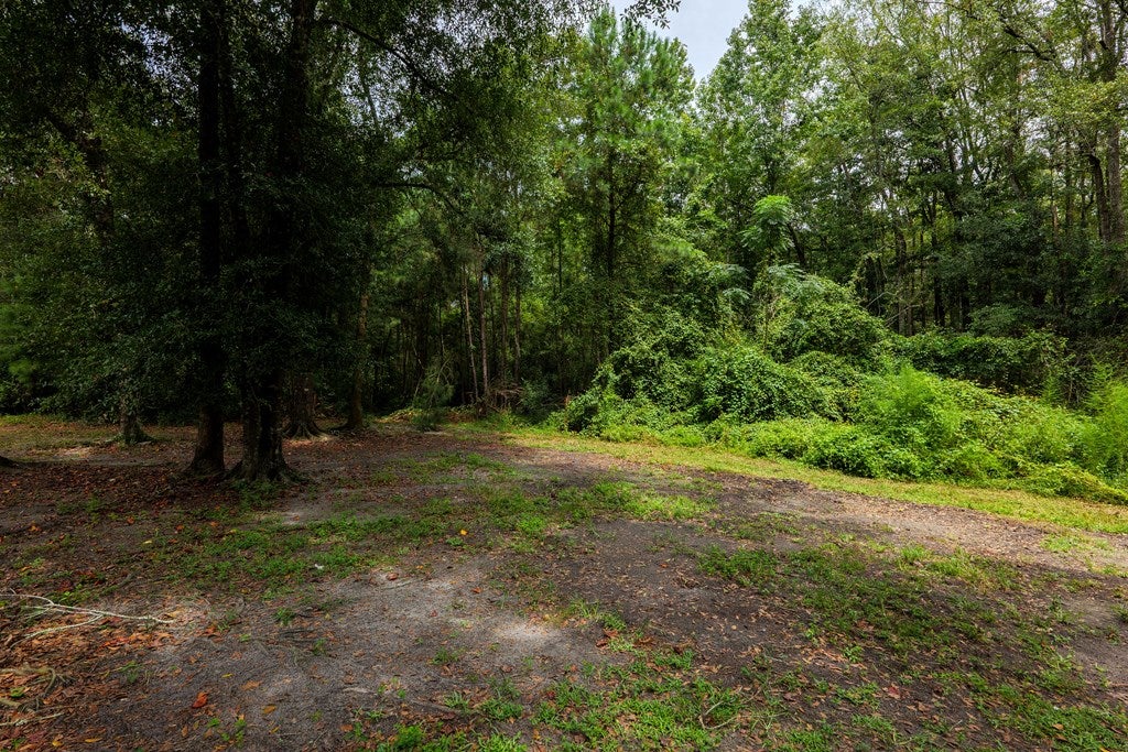 6380 Quarterman Road Hahira, GA 31632 - Photo 24 of 24 Gallery Image 24