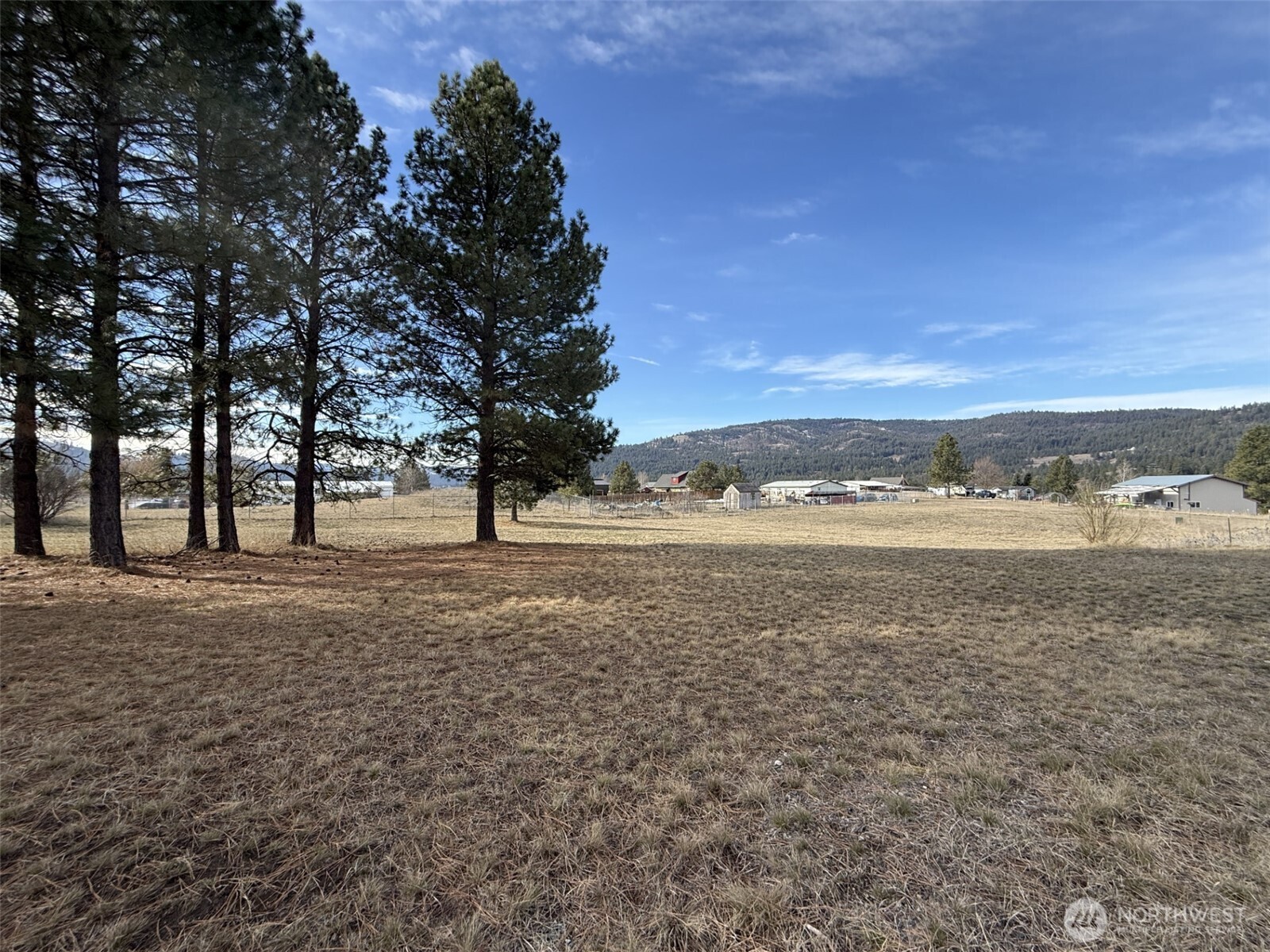 55 Heron Lp Road Republic, WA 99166 - Photo 2 of 14 Gallery Image 2