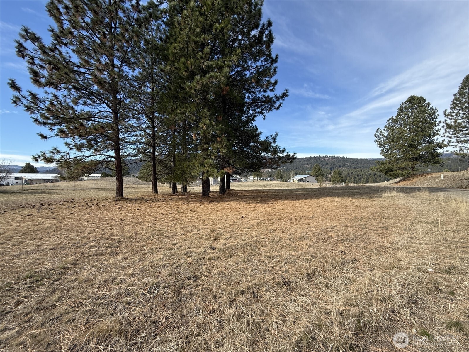 55 Heron Lp Road Republic, WA 99166 - Photo 8 of 14 Gallery Image 8