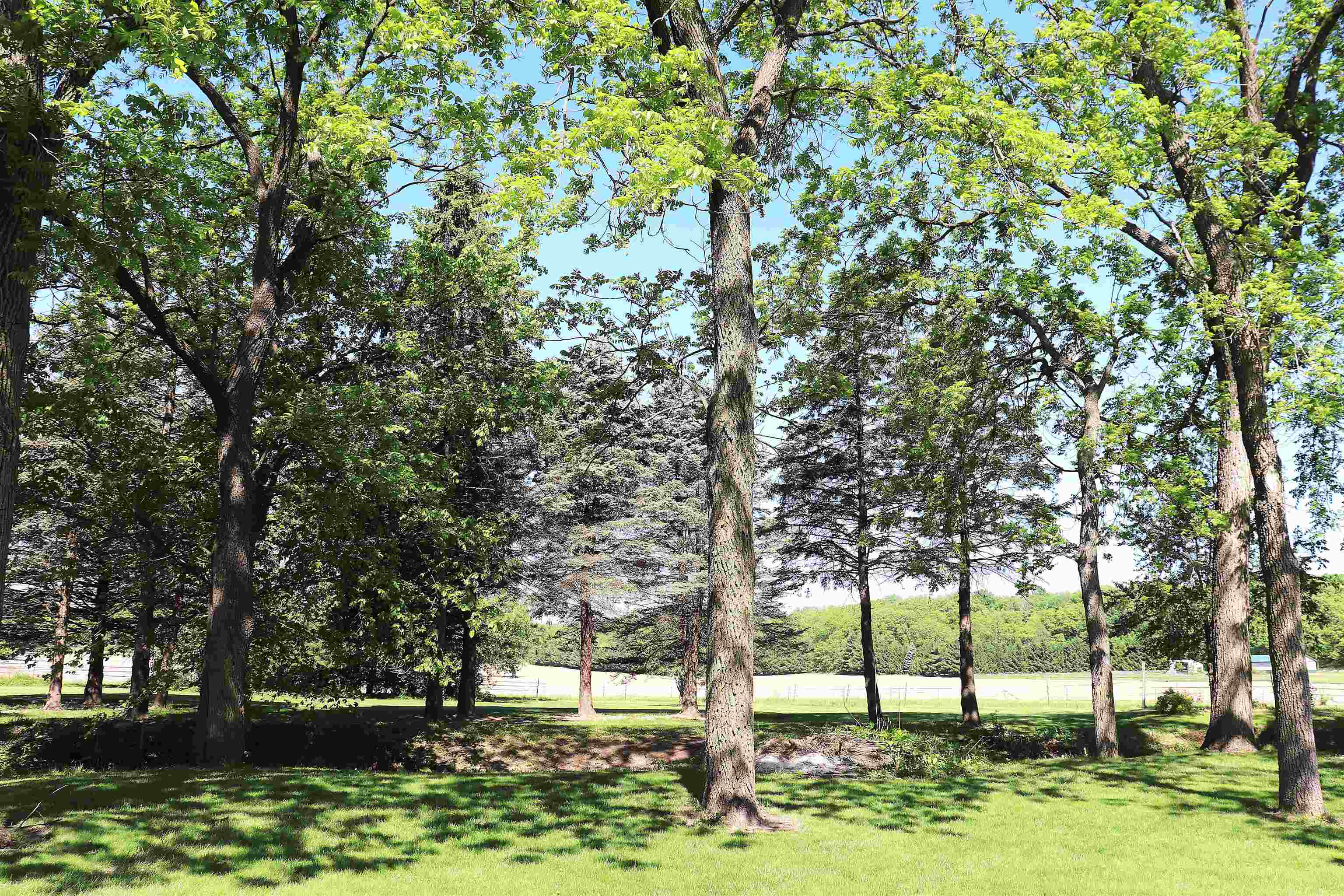 4338 South Schuman Road Orfordville, WI 53576 - Photo 53 of 63