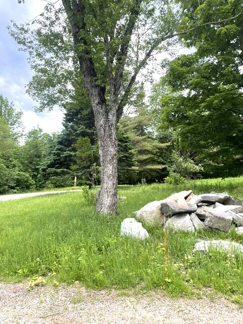 141 Tufts Pond Road Kingfield, ME 04947 - Photo 11 of 45 IMG_1013