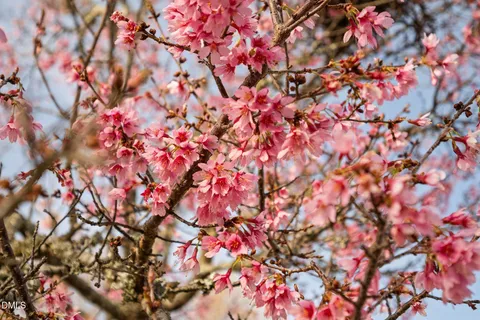 $320,000 | 5223 Center Church Road, Sanford, NC 27330