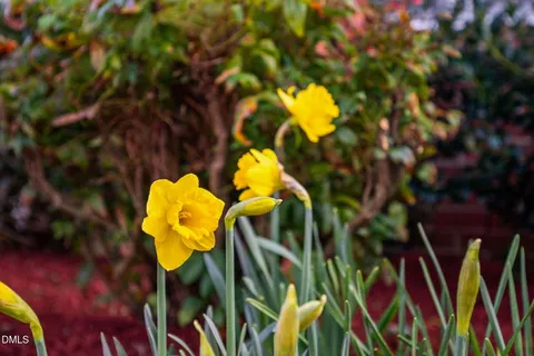 $320,000 | 5223 Center Church Road, Sanford, NC 27330