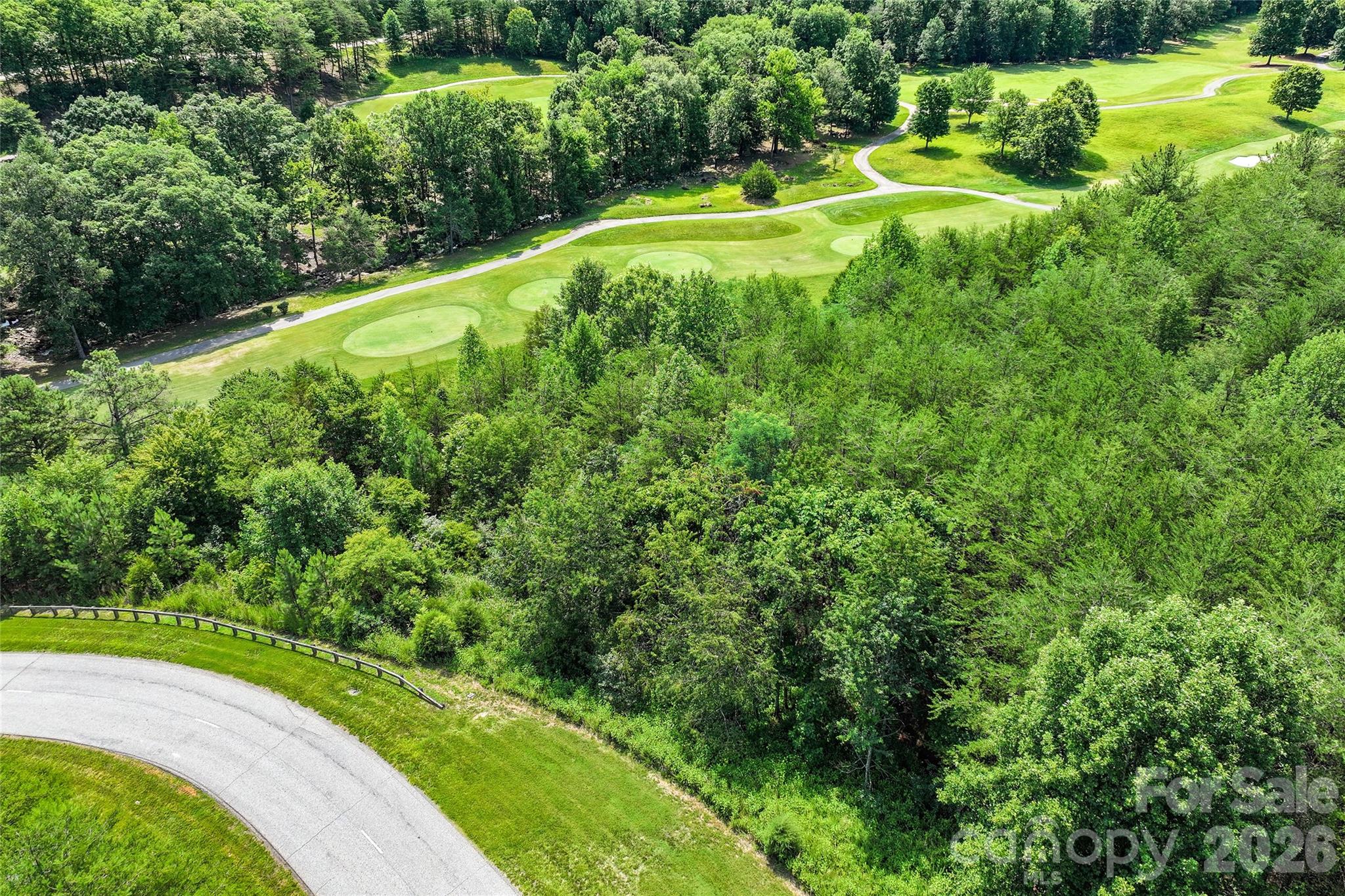 1361 Deep Gap Farm Road East Mill Spring, NC 28756 - Photo 5 of 23