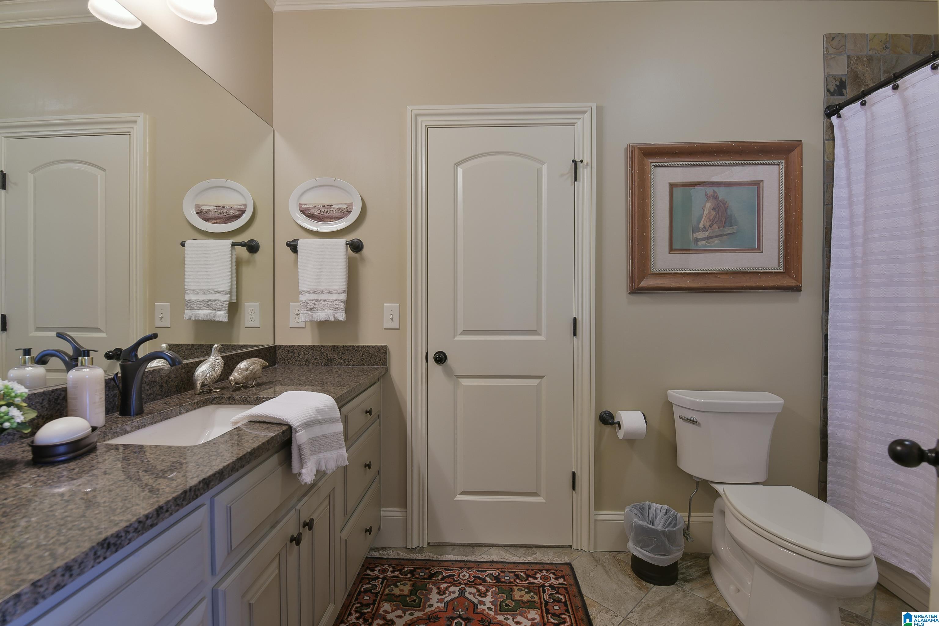 2467 Glasscott Point Birmingham, AL 35226 - Photo 29 of 50