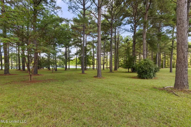 $889,900 | 131 Lakeshire Parkway, Canton, MS 39046