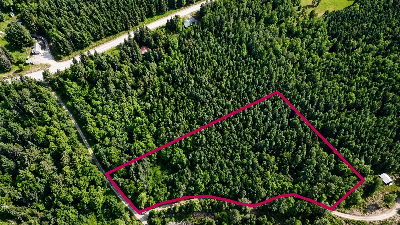0 Boise Cascade Road Dummer, NH 03588 - Photo 4 of 17