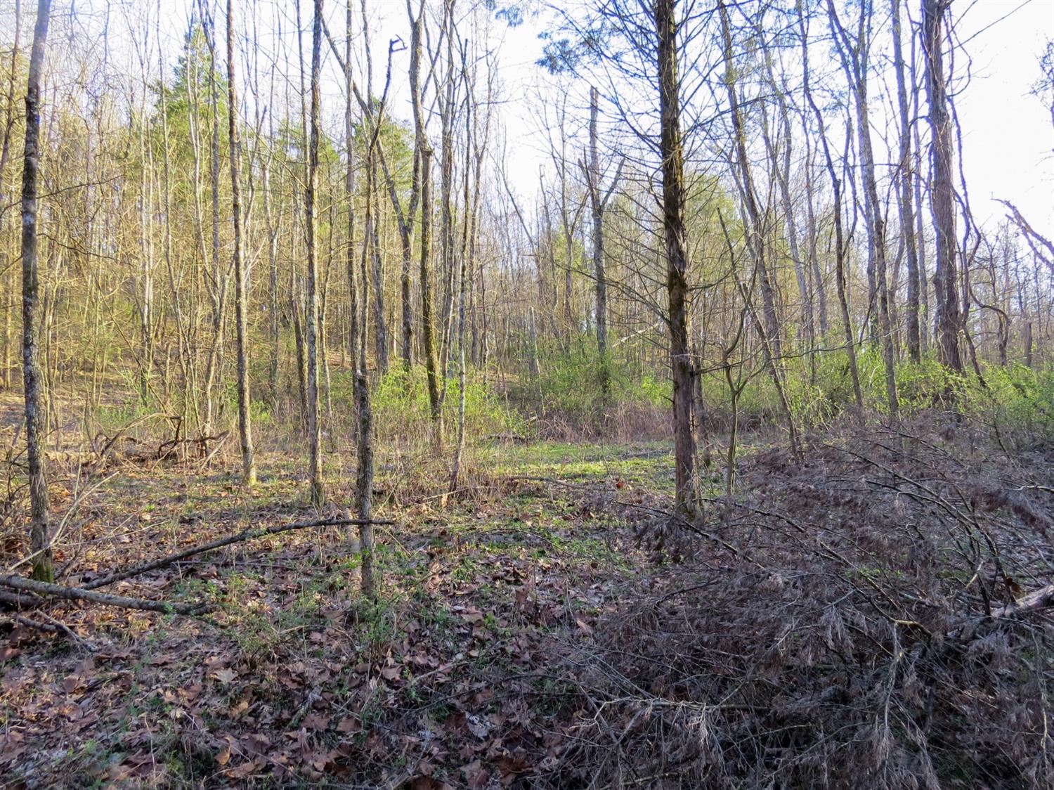 0 Aberdeen Road Bennington, IN 47011 - Photo 13 of 14