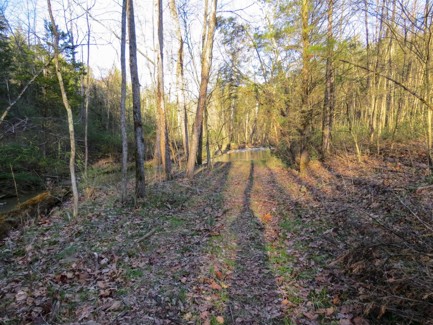 0 Aberdeen Road Bennington, IN 47011 - Photo 14 of 14