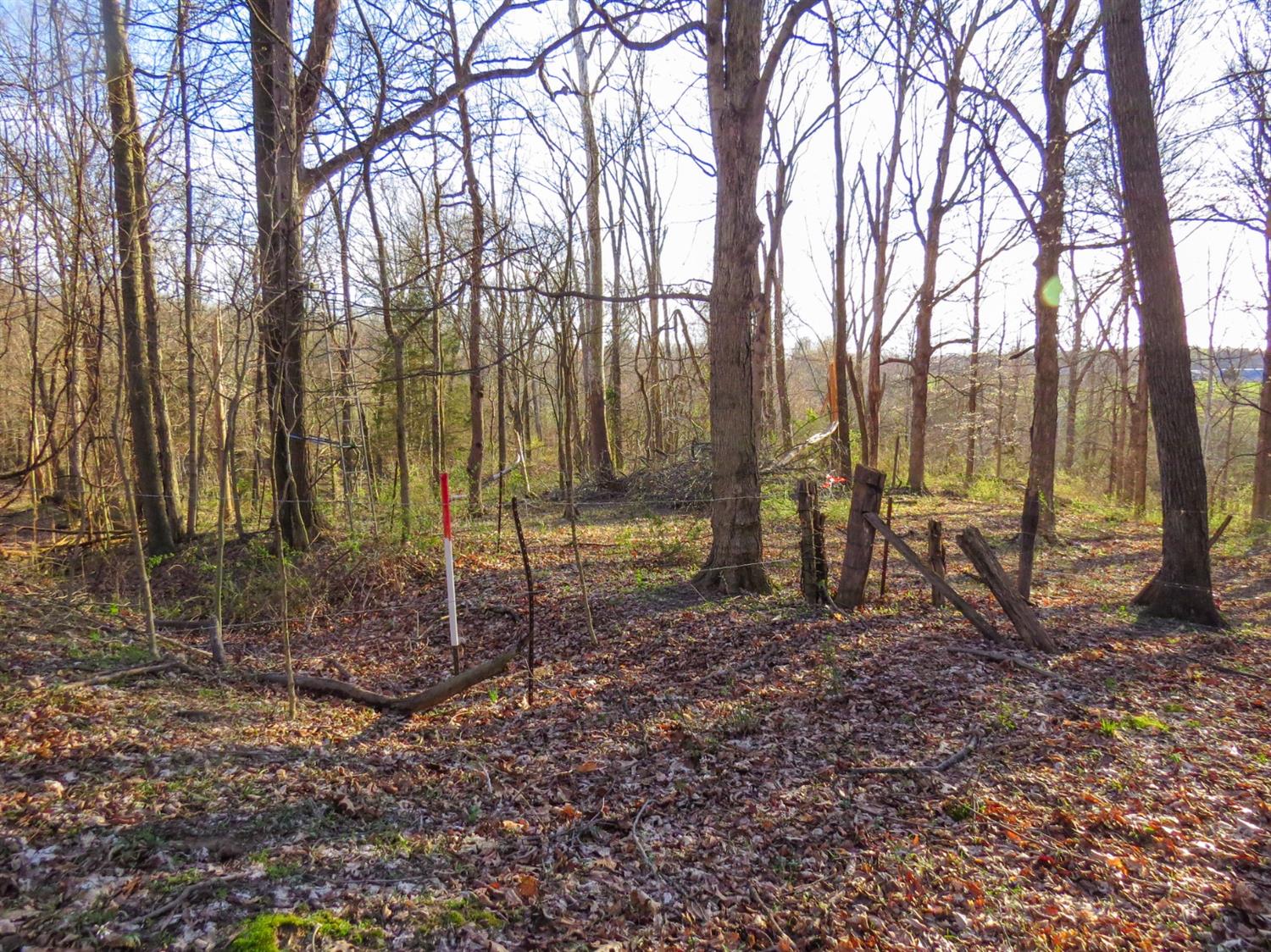 0 Aberdeen Road Bennington, IN 47011 - Photo 3 of 14