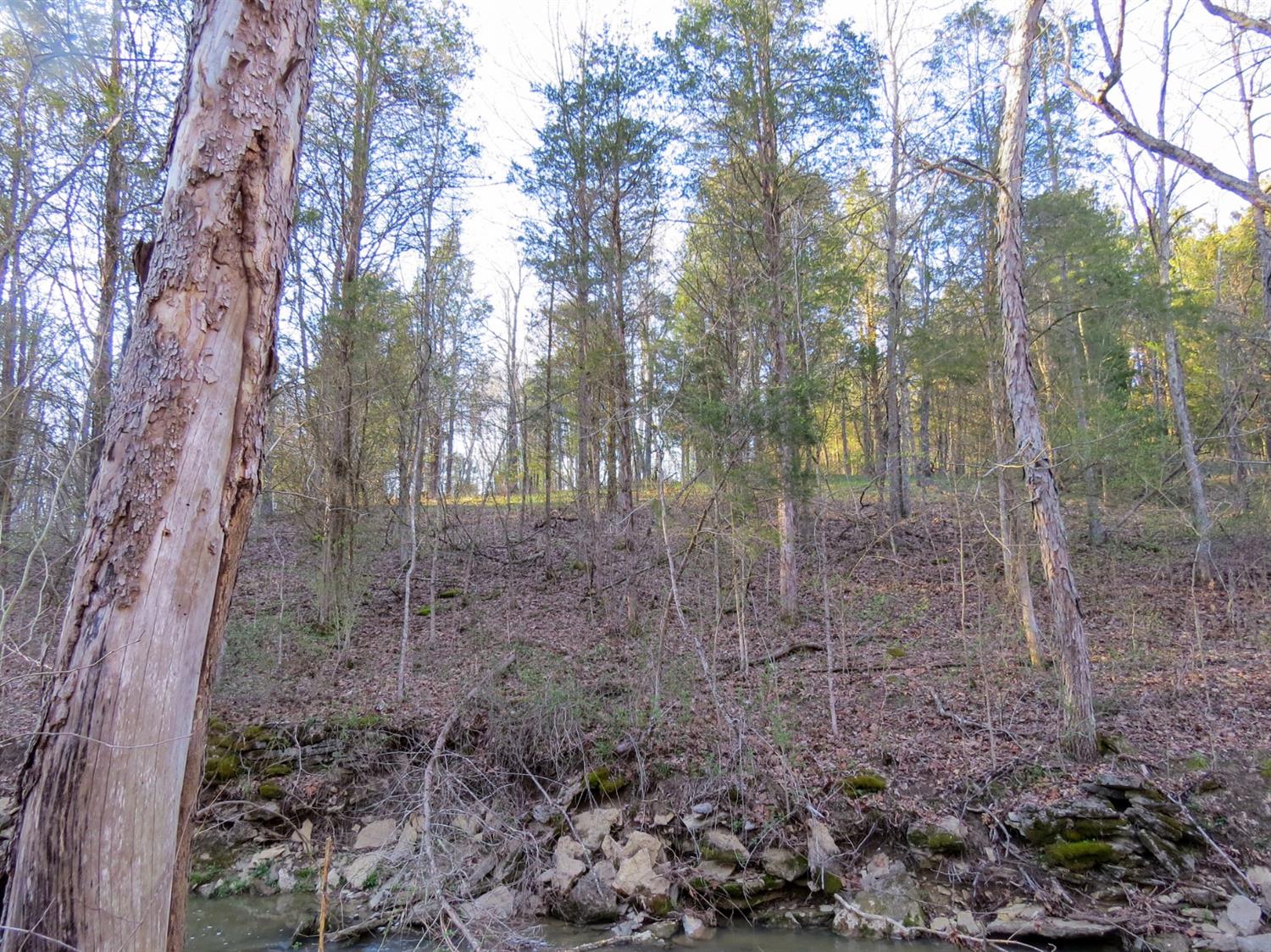 0 Aberdeen Road Bennington, IN 47011 - Photo 5 of 14
