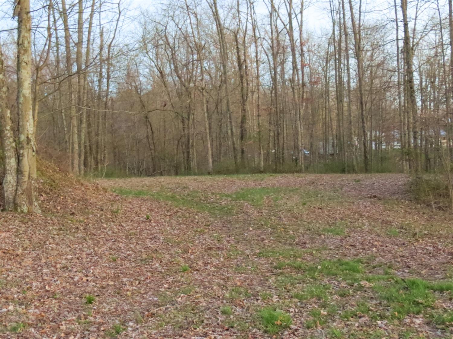 0 Aberdeen Road Bennington, IN 47011 - Photo 7 of 14