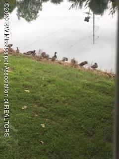 3699 Swinnea Road Southaven, MS 38672 - Photo 53 of 63 CA87A096-208F-4D92-B137-BF547EDF4BB9