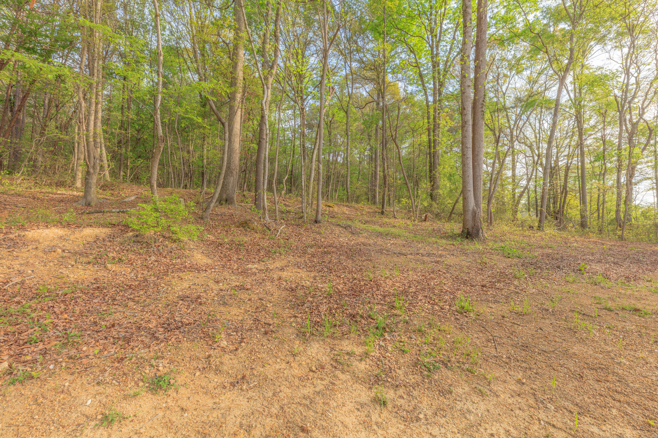 102 Bandy Road LaFayette, GA 30728 - Photo 23 of 39 Backyard